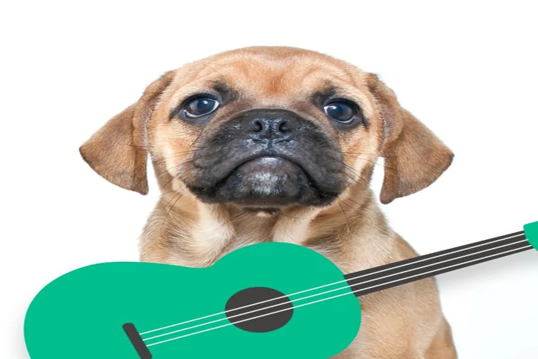 How much does a Tatra shepherd dog cost?, Investment Range