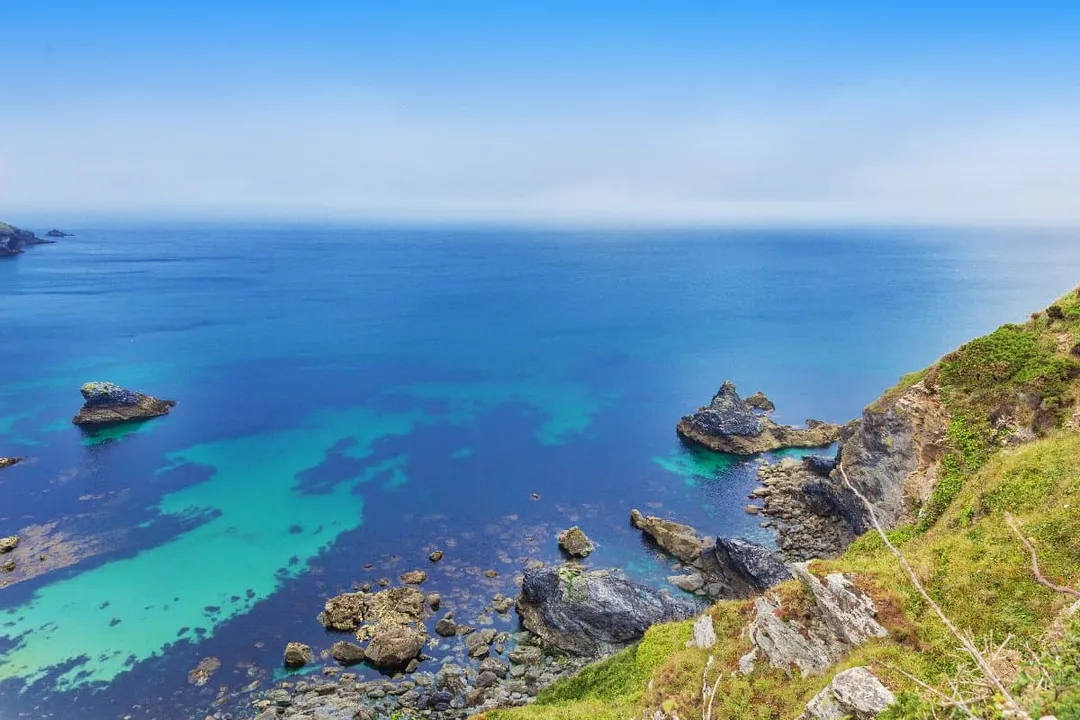 How much is a freshwater polka dot stingray?, Price Extremes