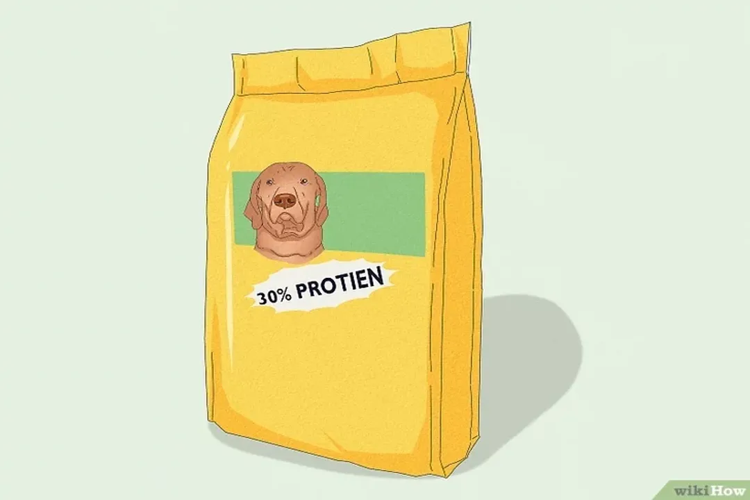 How much should an American bully eat a day?, Age Differences