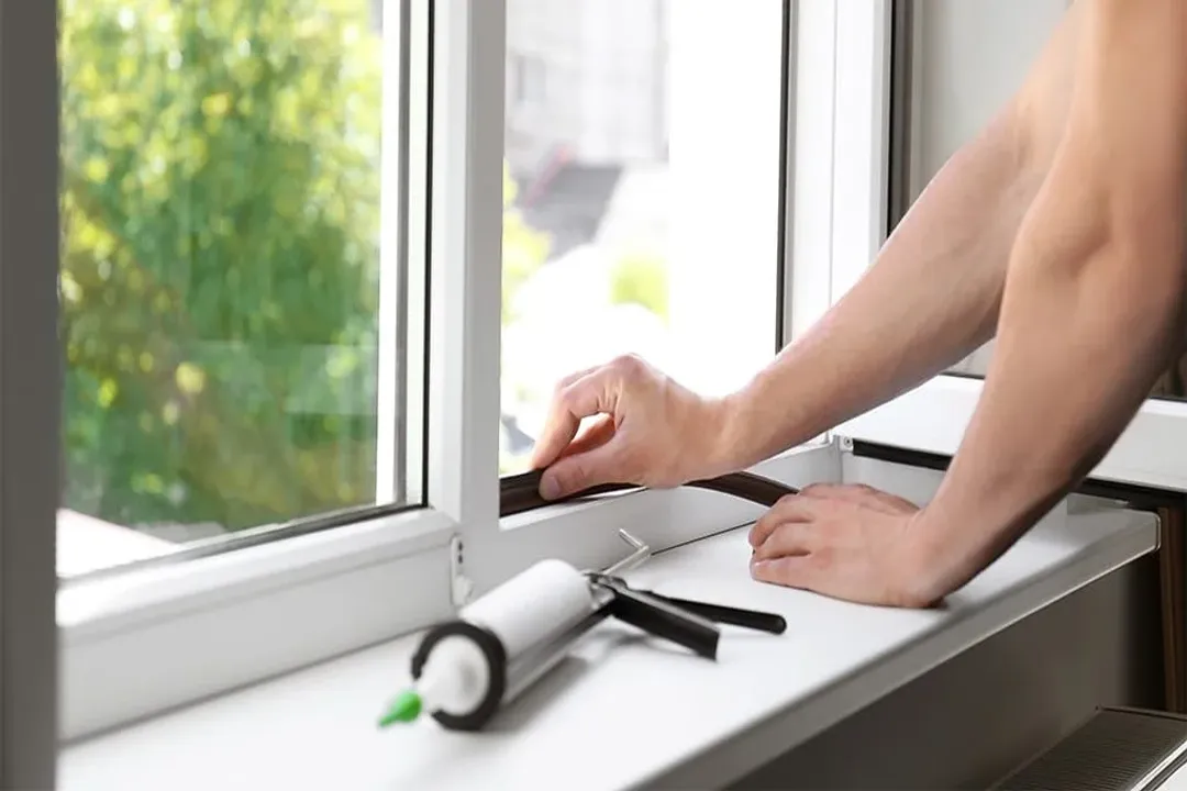 How to find out where rodents are getting in?, Exterior Search