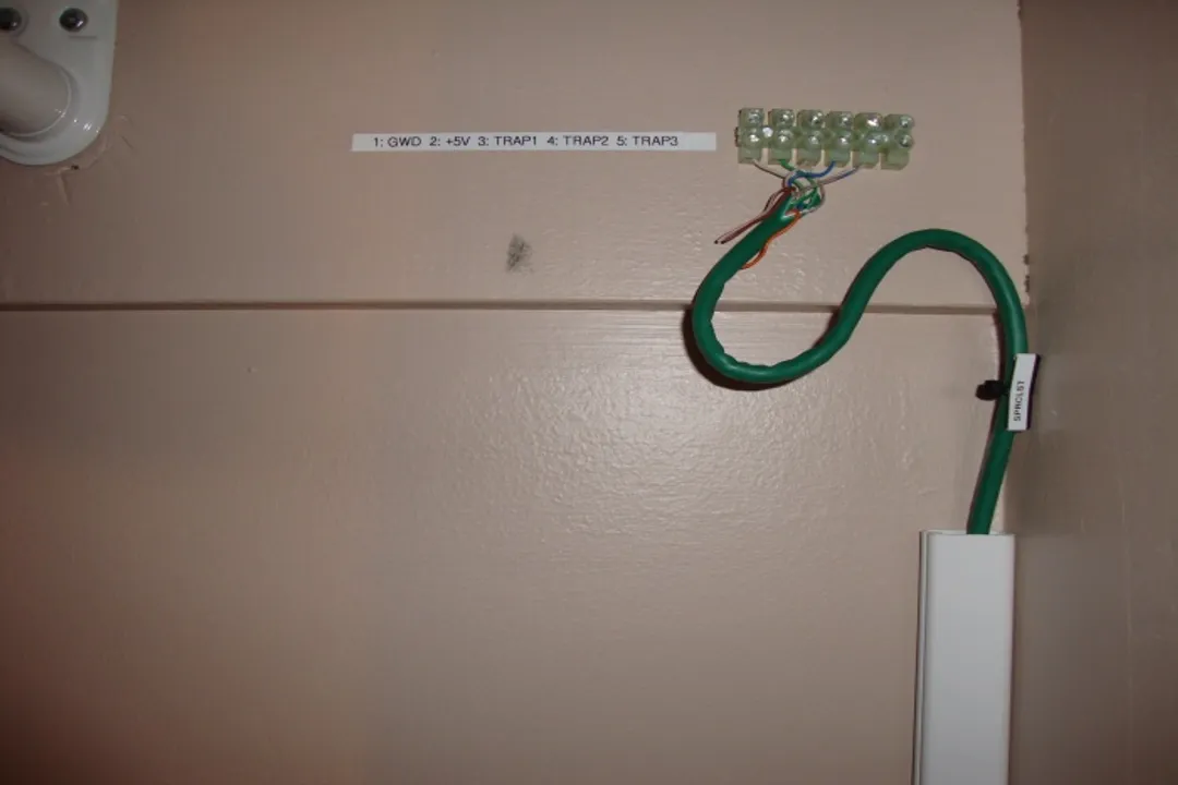 How to find out where rodents are getting in?