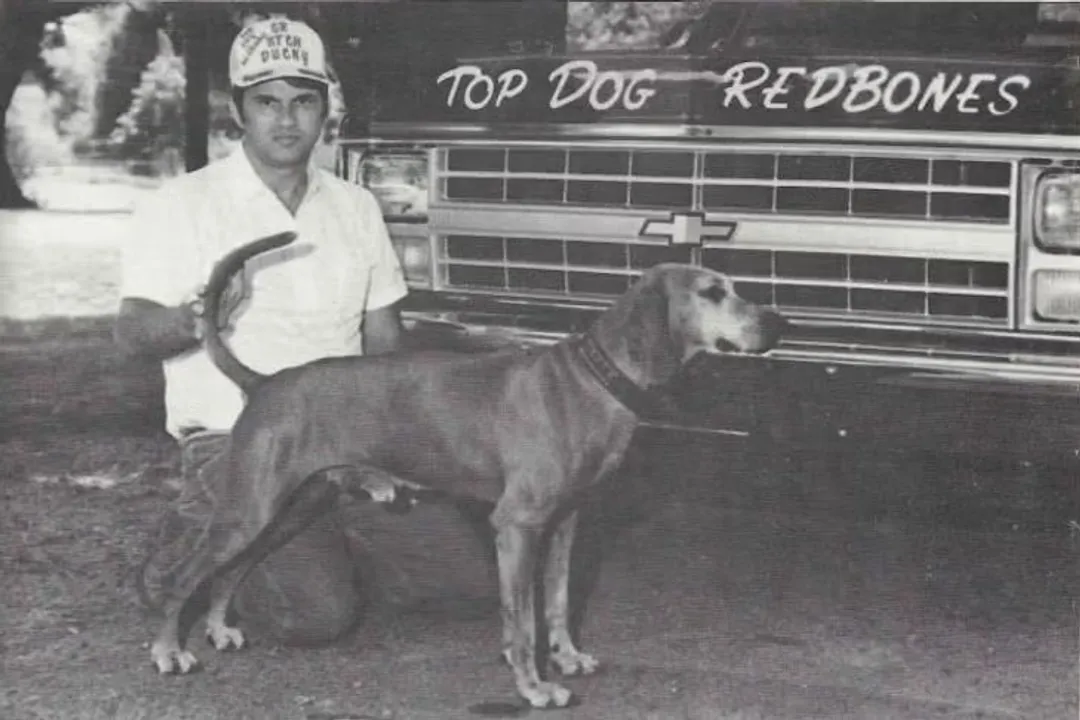 How was the Redbone Coonhound created?, Ancestral Stock