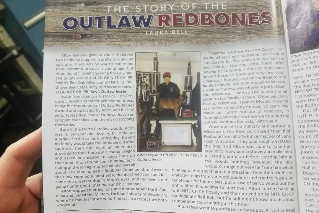 How was the Redbone Coonhound created?, Development Focus