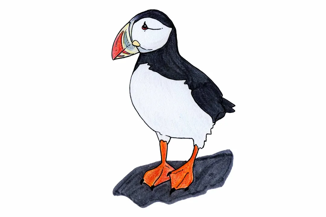 Is a puffin a bird or a mammal?, The Breeding Bill