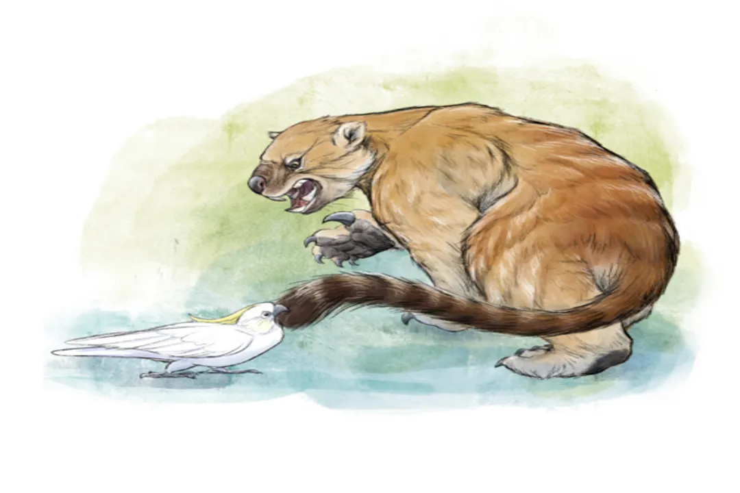 Is a Thylacoleo a cat?, Marsupial Kinship