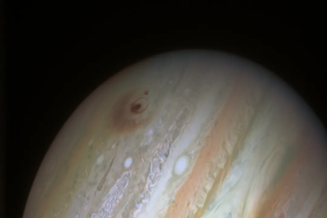 Is Jupiter necessary for life on Earth?