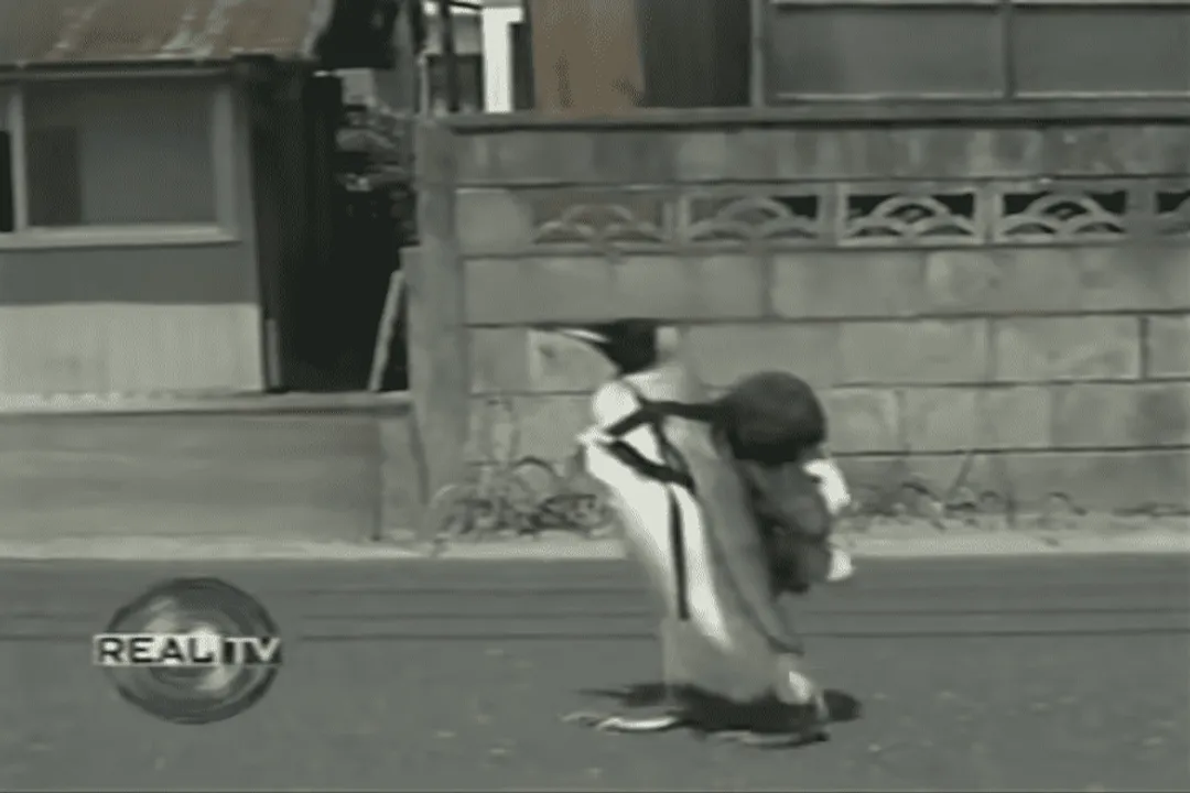 Is Lala the penguin still alive?, Status Update