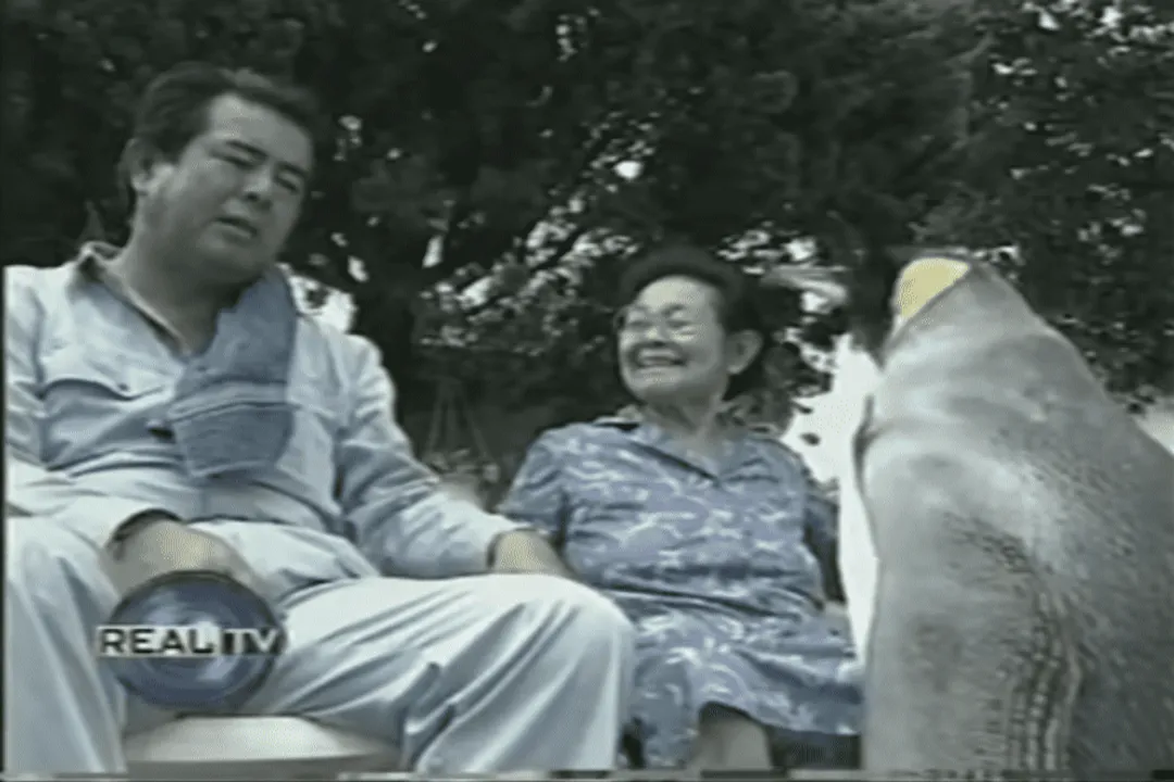 What caused the initial public concern regarding Lala's well-being?