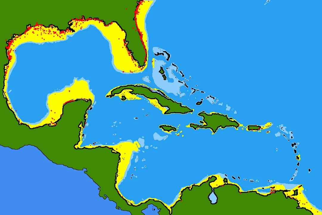 Is pompano a bony fish?, Bone Structure Reality