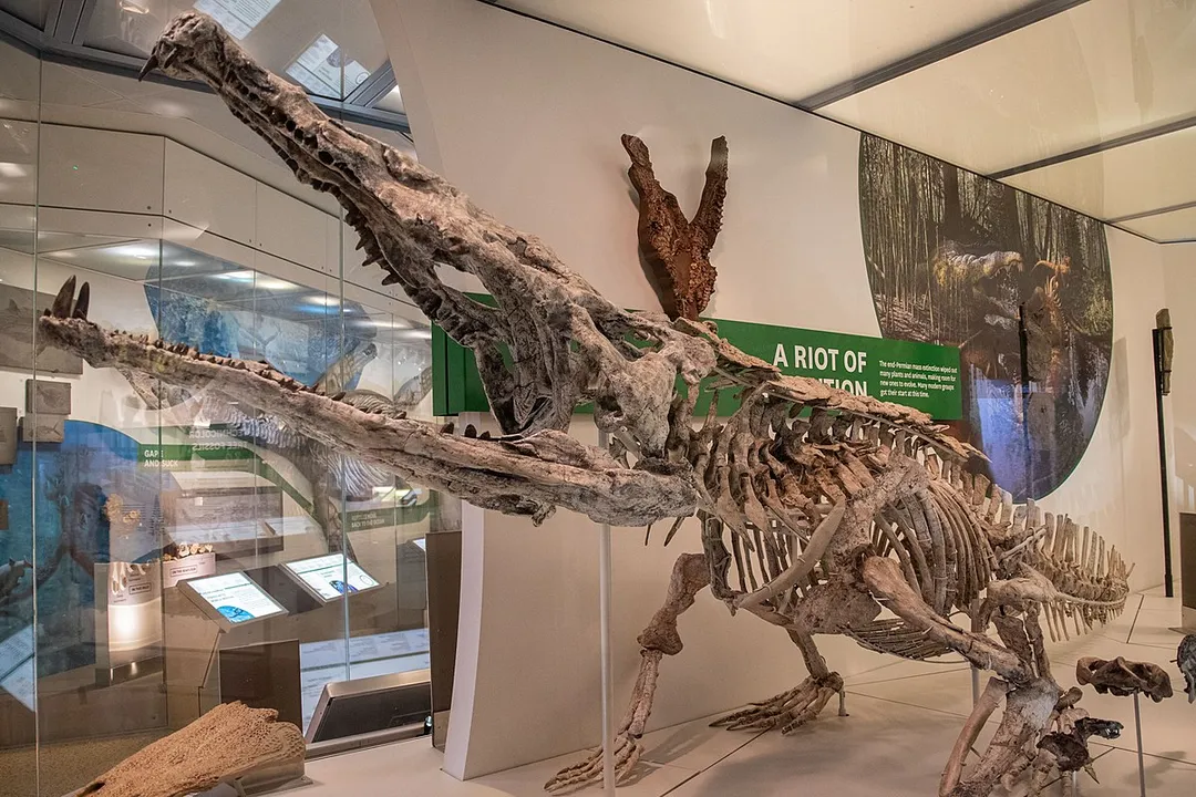 Is Smilosuchus related to modern crocodiles?