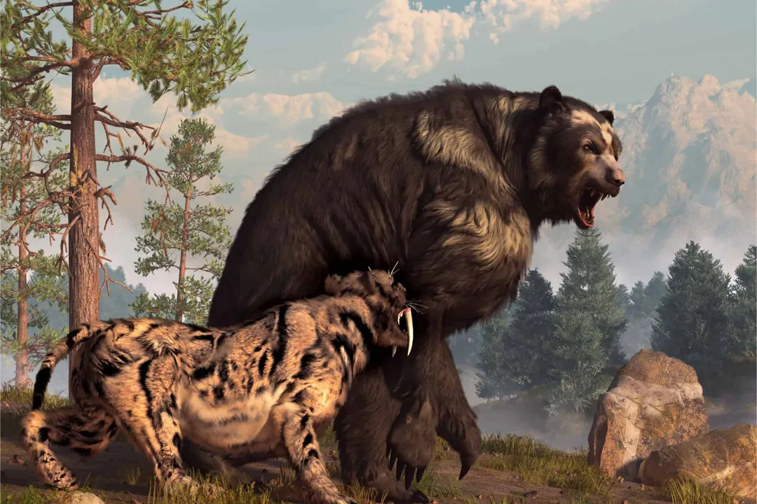 Is the short-faced bear the biggest bear ever?, Size Contenders