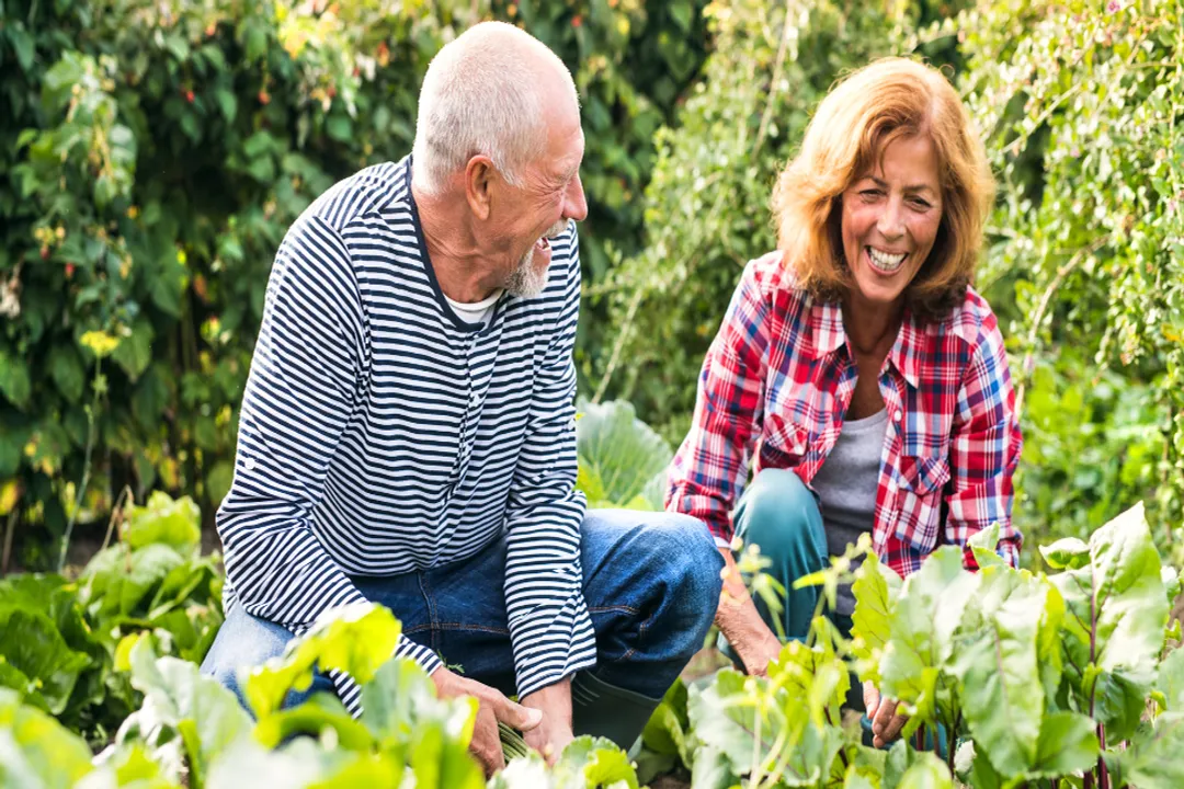 Should I let a skunk live in my yard?