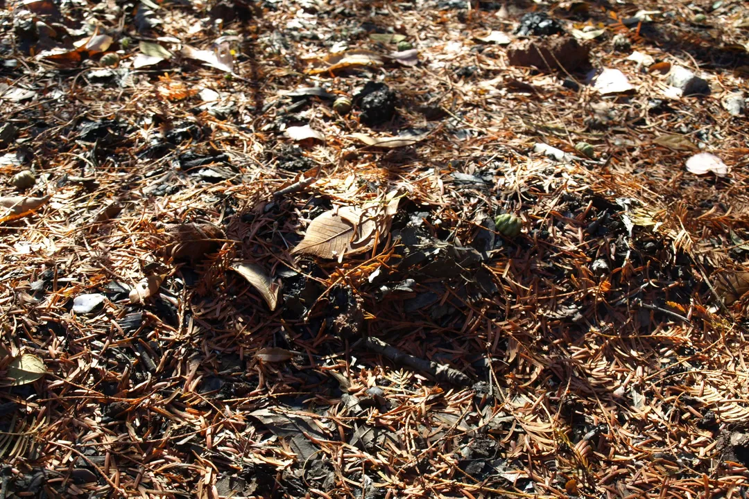 Vole Locations, Habitat Types