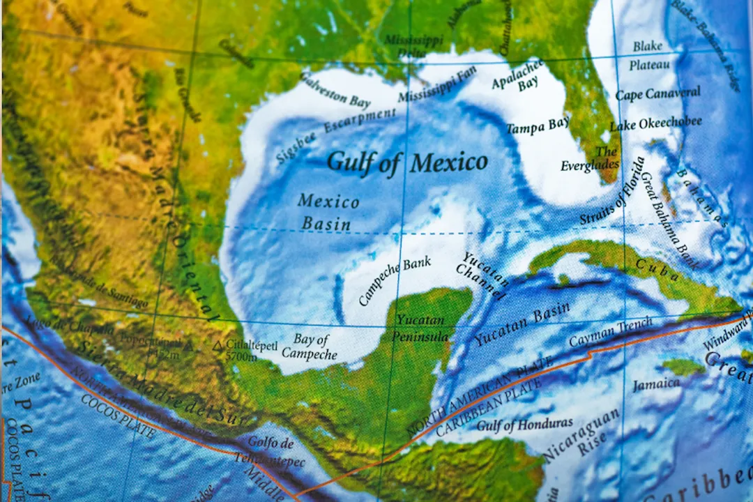 Wahoo Fish Evolution, Body Design