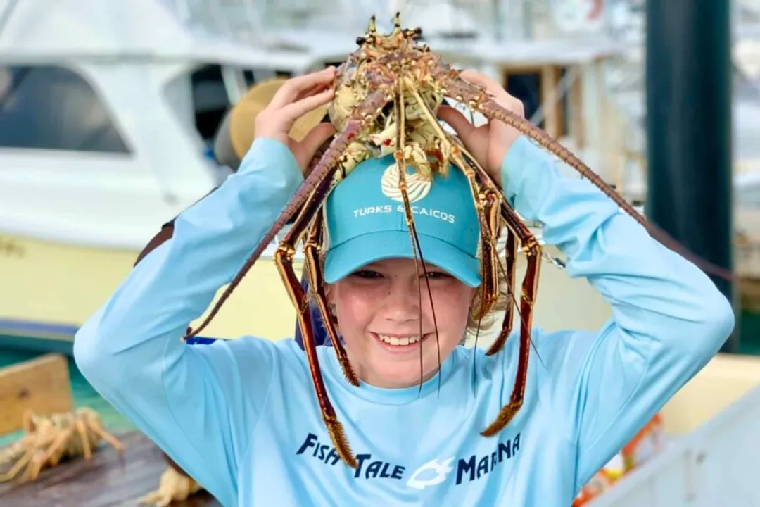 Wahoo Fish Facts, Physical traits