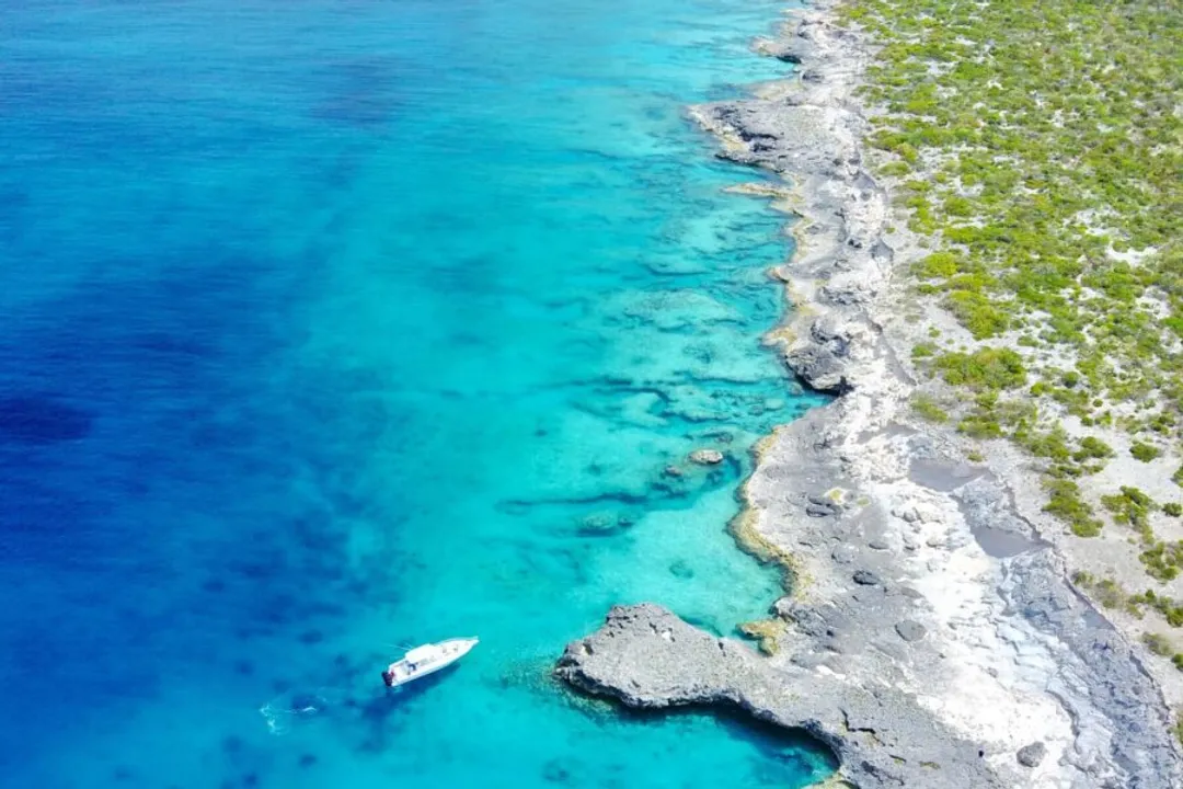 Wahoo Fish Facts, Habitat Range