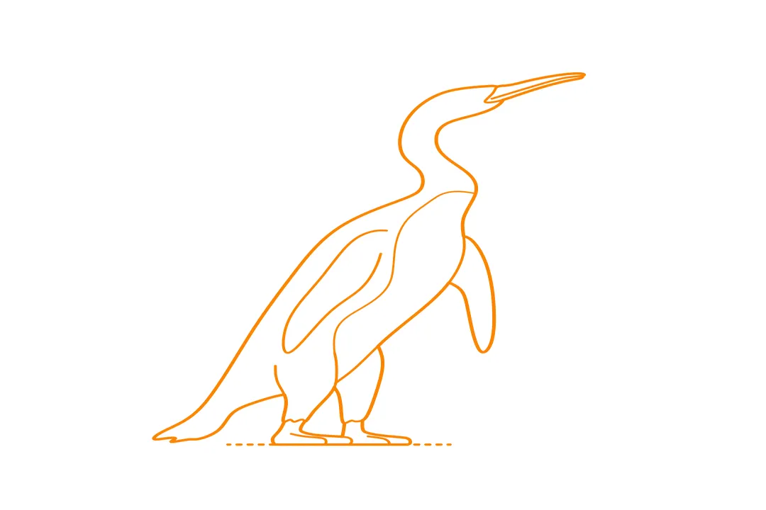 Waimanu Diet, Morphology Foraging Clues