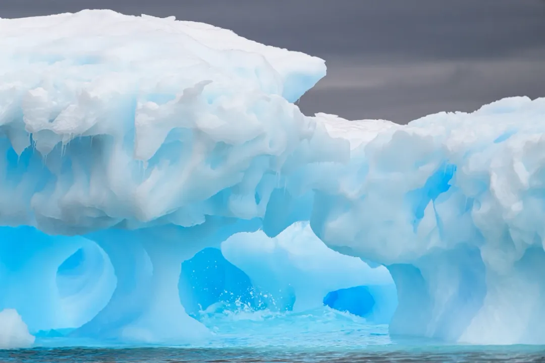 Walrus Locations, Subspecies Division