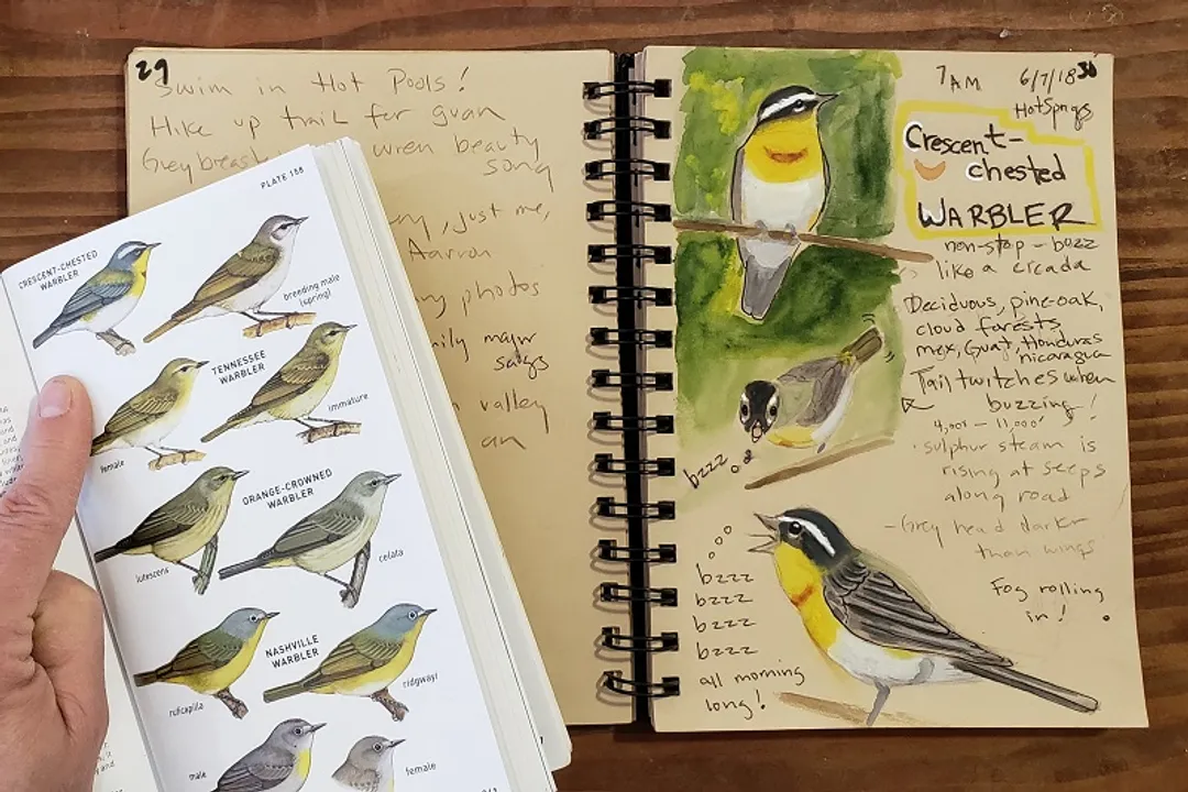 Warbler Locations, Species Specific Sites