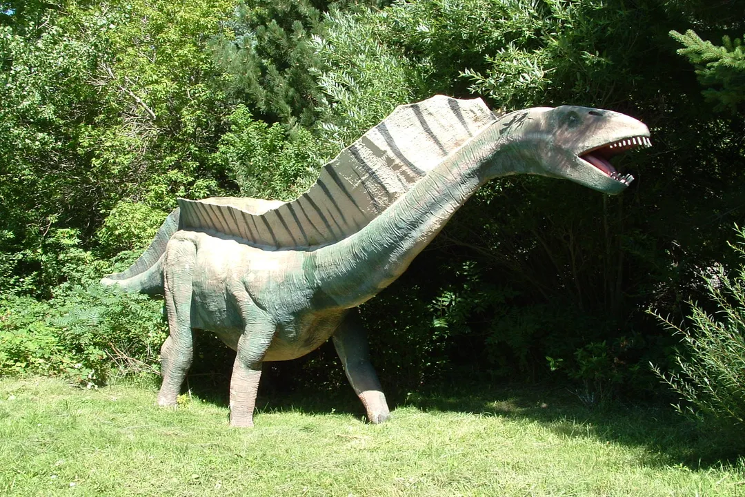 Was Amargasaurus a titanosaur?, Spine Structure