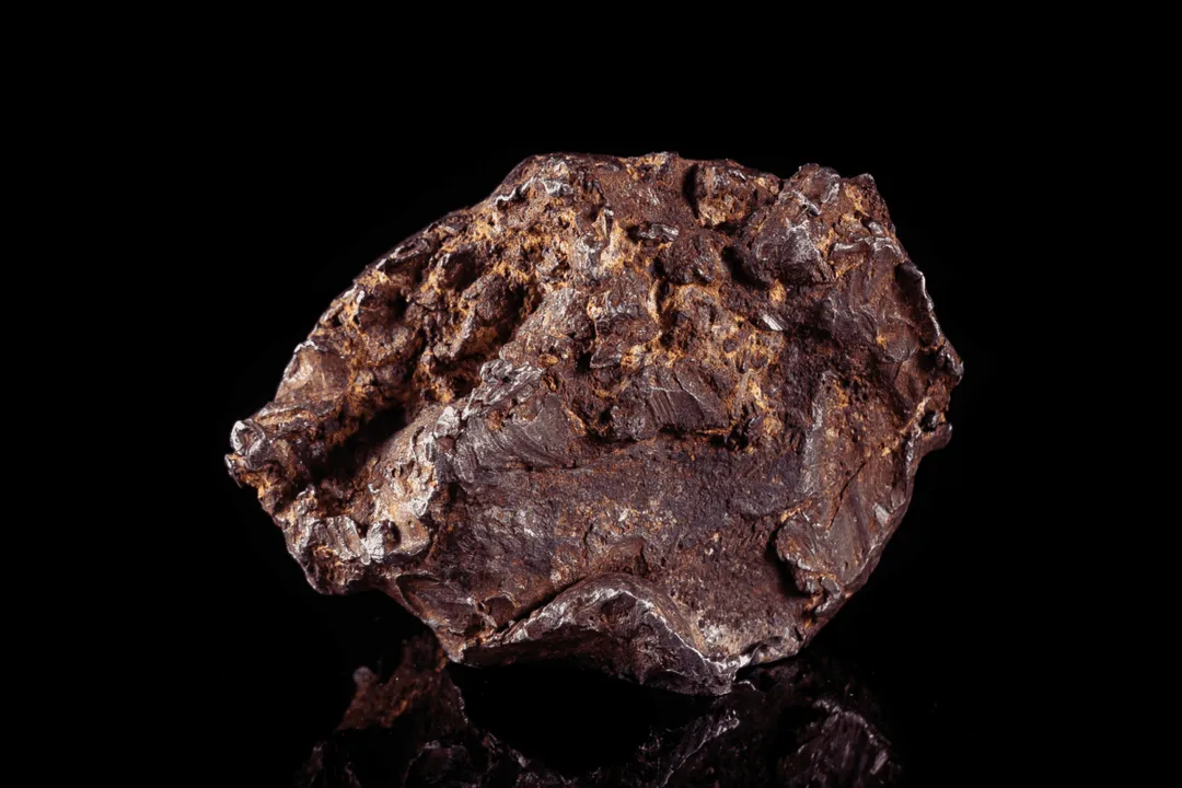 Was human DNA found in meteors?, Martian DNA