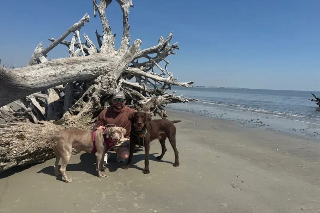 Weimardoodle Locations, Online Hunting