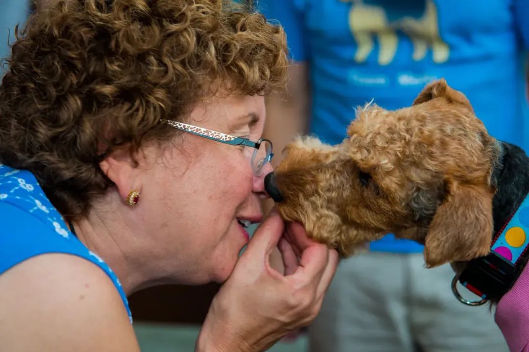 Welsh Terrier Locations, Community Knowledge Centers