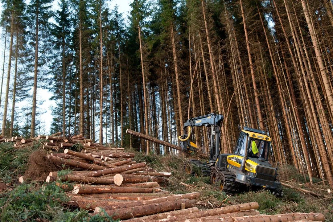 Were the first planes made of wood?, Wright structure