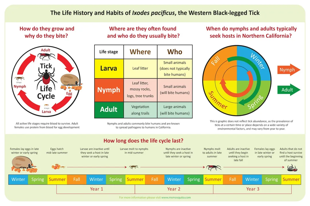 Western Blacklegged Tick Locations, Preferred Habitat