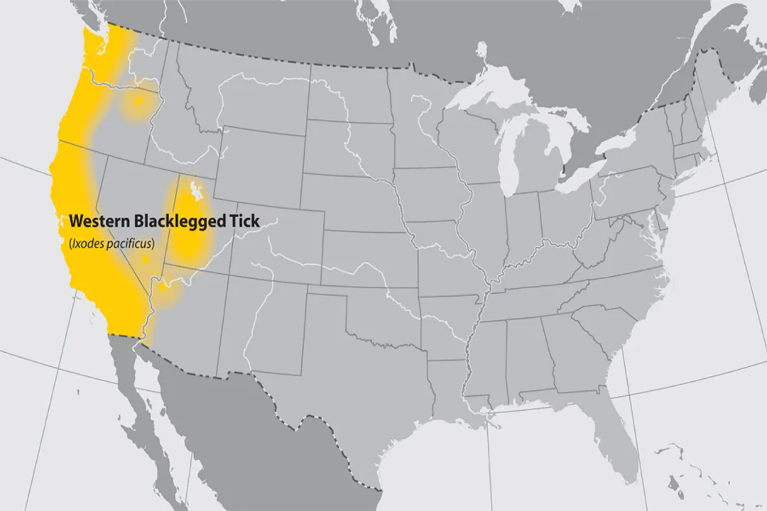Western Blacklegged Tick Locations, Seasonal Activity