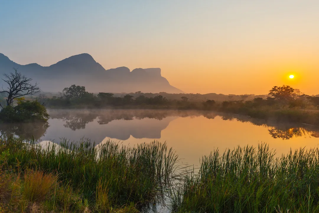 Western Gorilla Locations, Forest Strata