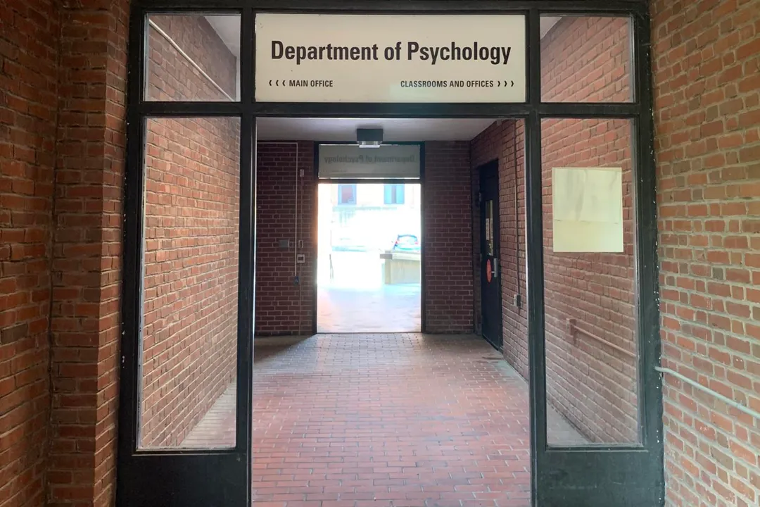 What are considered soft sciences?, Defining Disciplines