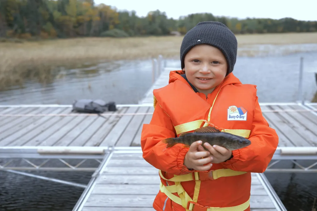 What are some fun facts about yellow perch?, Diet Habits