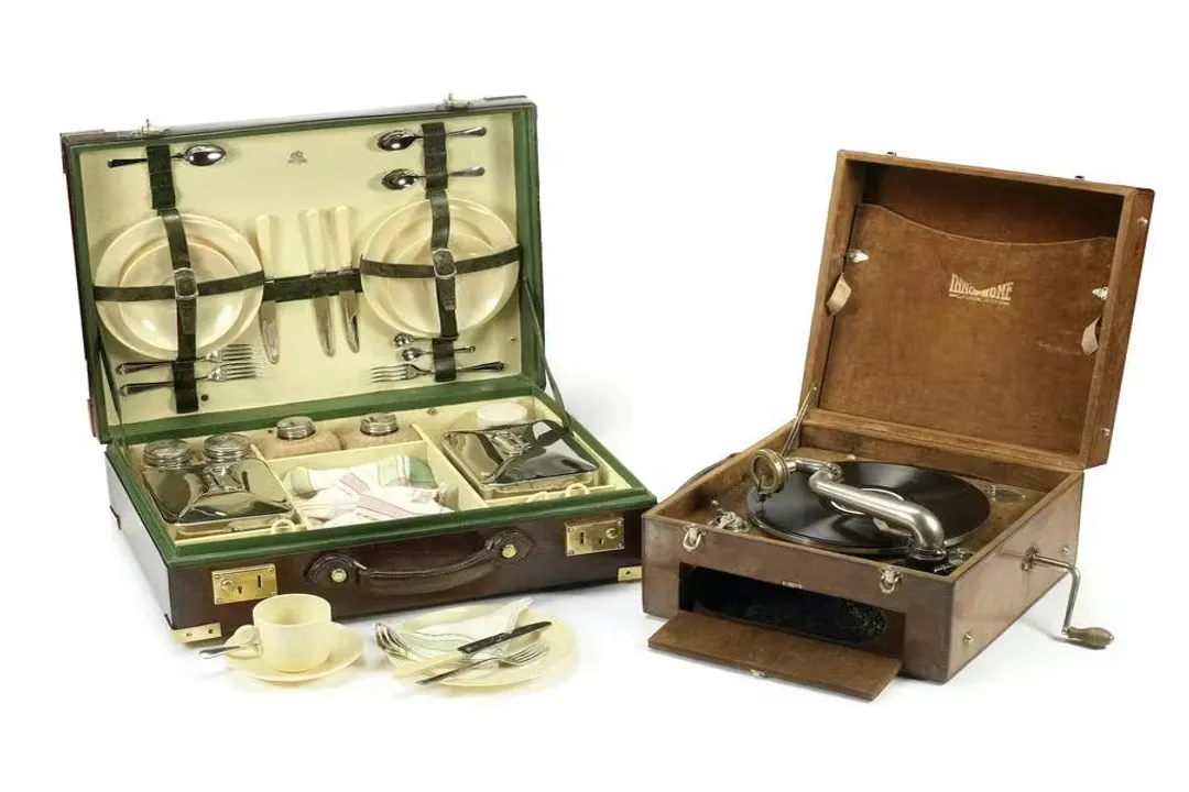 What are some interesting facts about the gramophone?, Horn Appearance