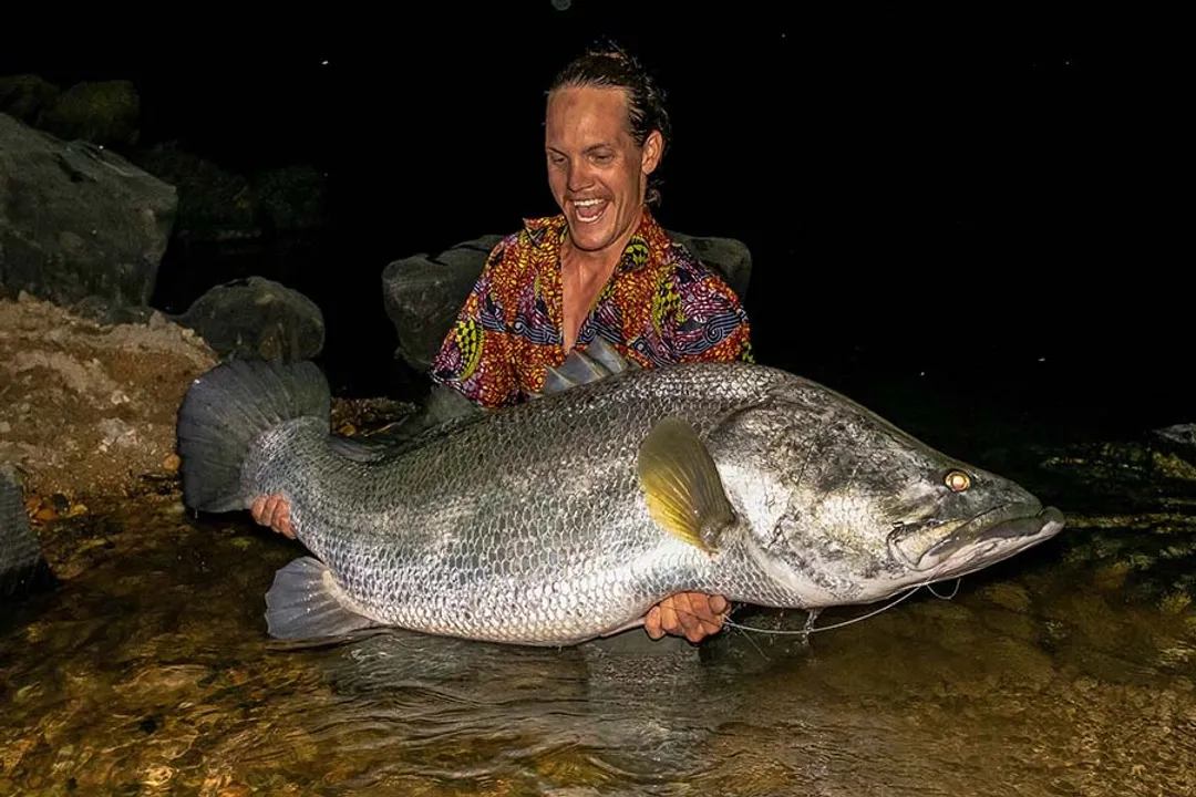 What are some interesting facts about the Nile perch?