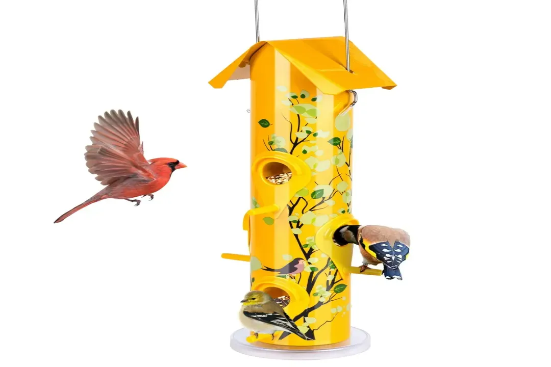 What are the best feeders for goldfinches?, Seed Compatibility