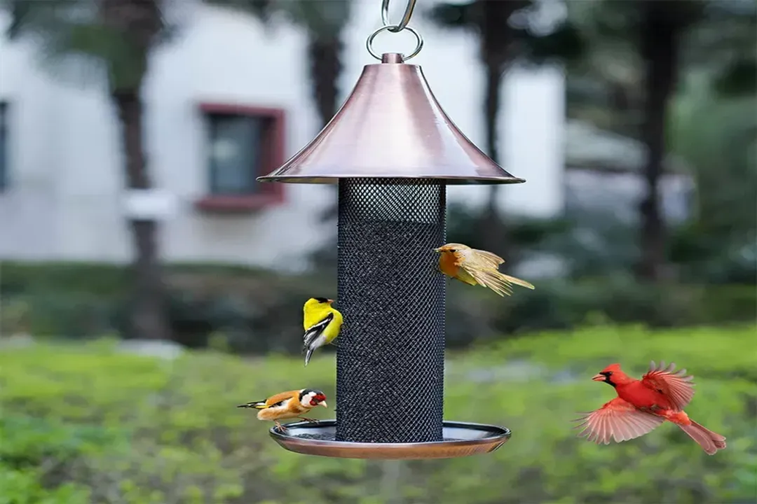 What are the best feeders for goldfinches?, Tube Feeders