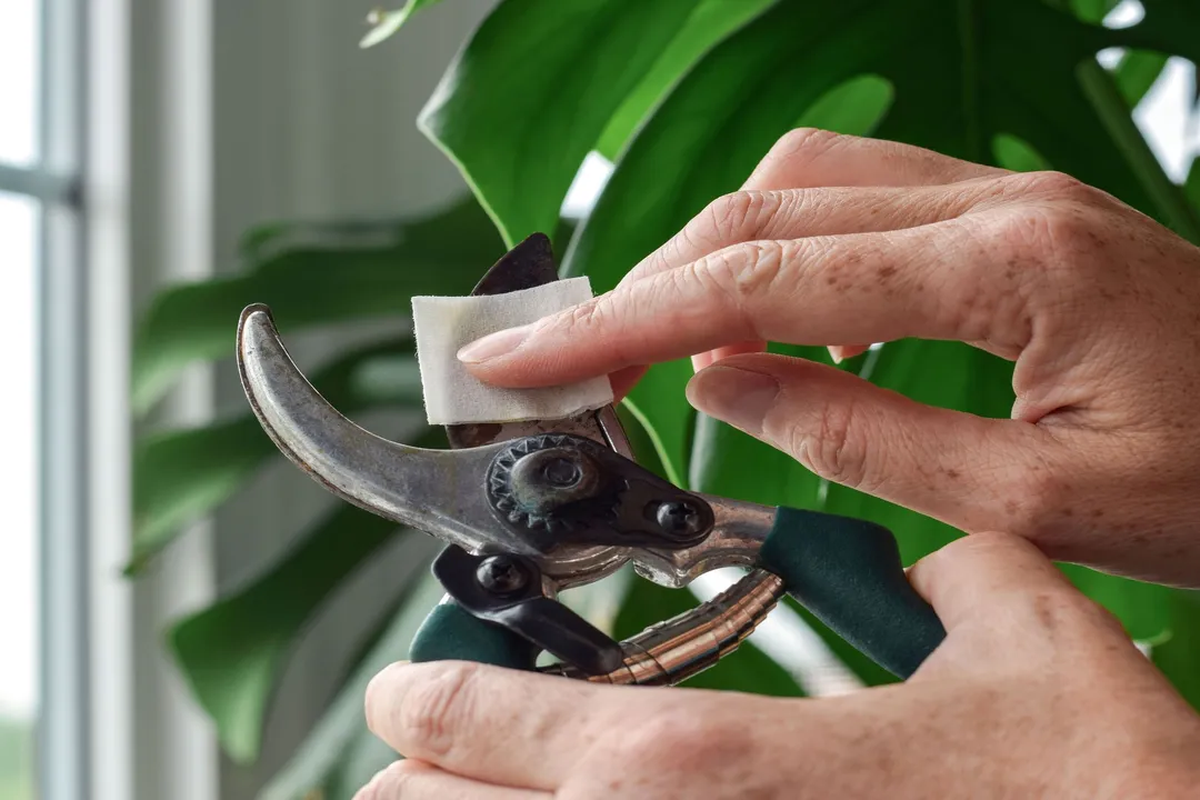 What are the challenges of propagation?, Selection Errors