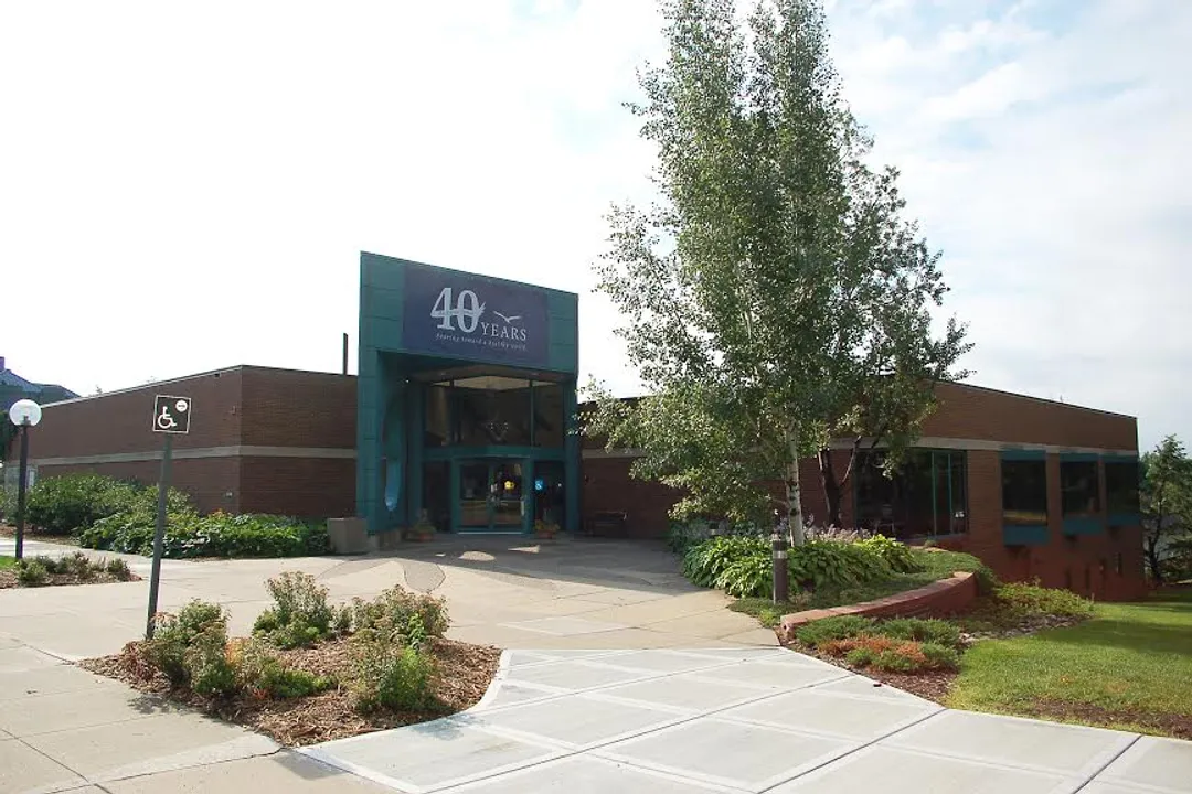 What are the characteristics of a kestrel?