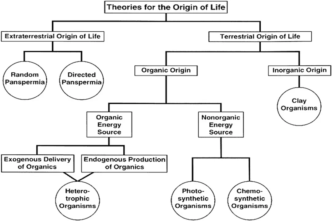 What are the four conditions that support life on Earth?, Water