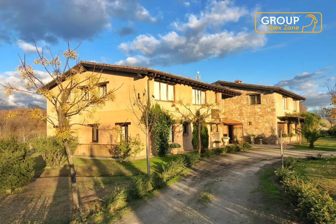 What are the physical adaptations of the ibex?, Locomotion Structure