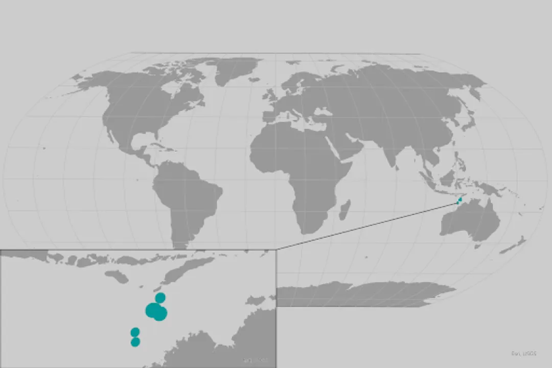 What are the physical features of a sea snake?