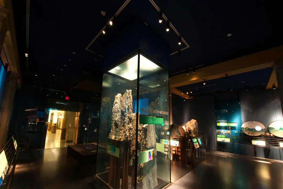 What are three conditions that support life on Earth?, Chemical Ingredients