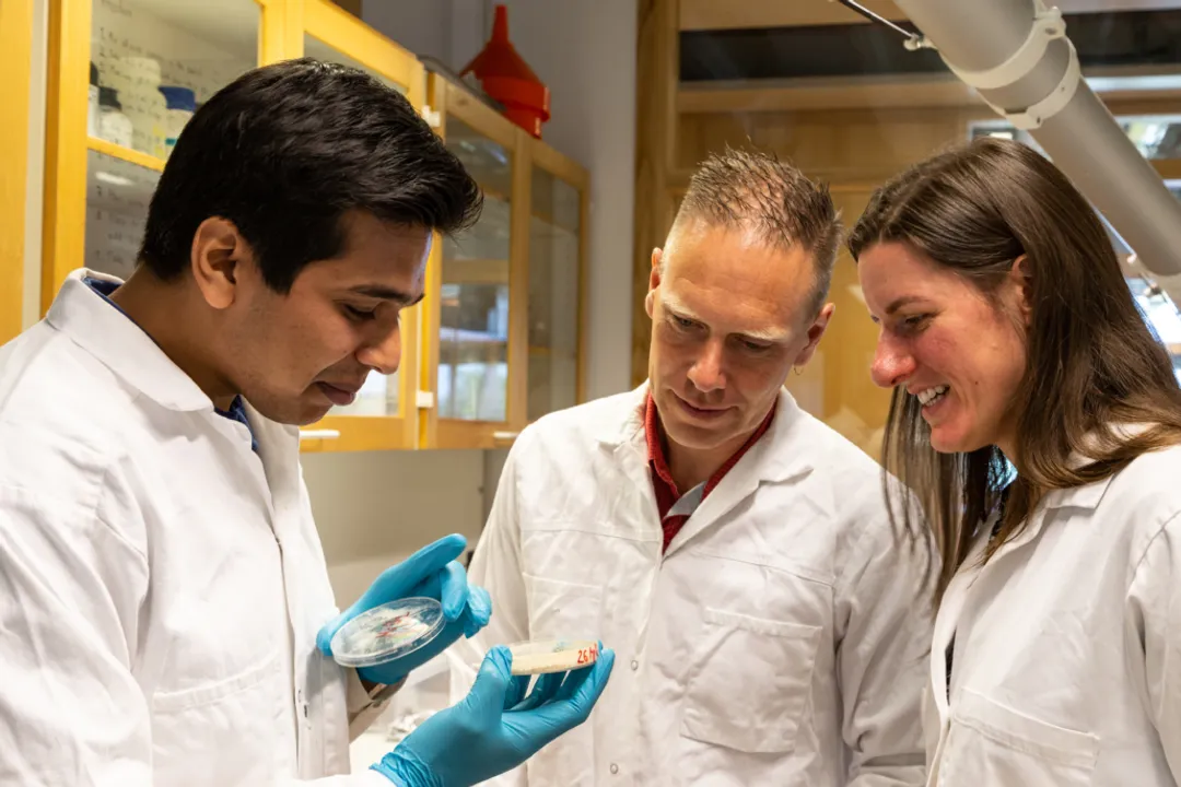 What can you do with old urine?