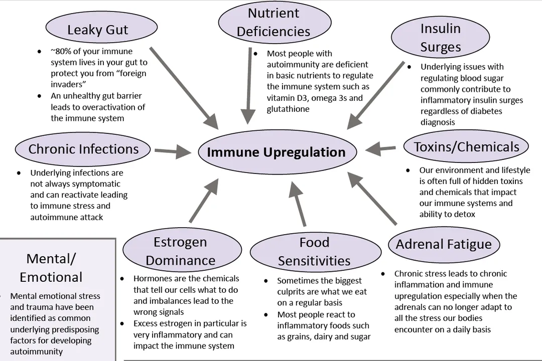What causes autoimmune disorders?
