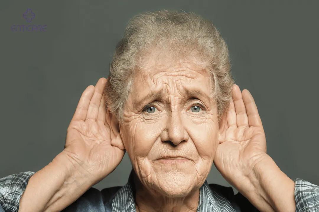 What causes echoes?, Electronic Distortion