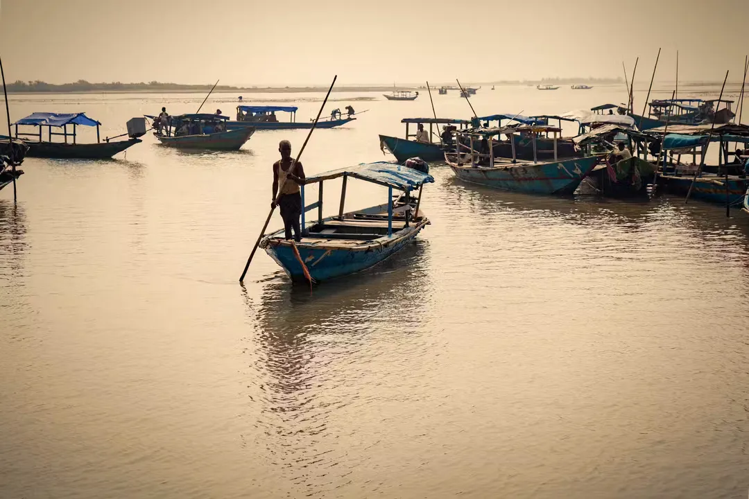 What causes ecosystem collapse?, Collapse Speed