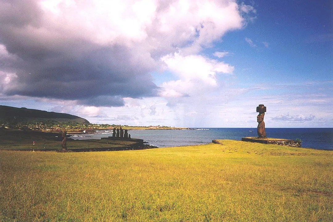 What causes ecosystem collapse?, Defining Collapse