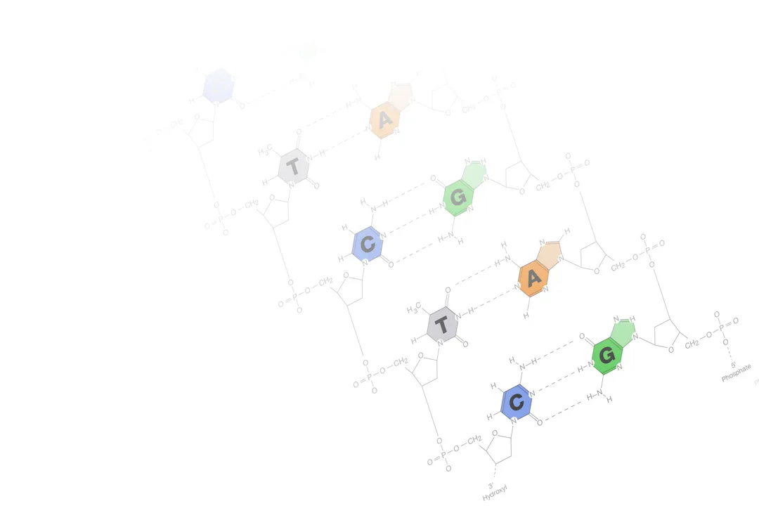 What causes genetic drift in populations?, Bottleneck Events
