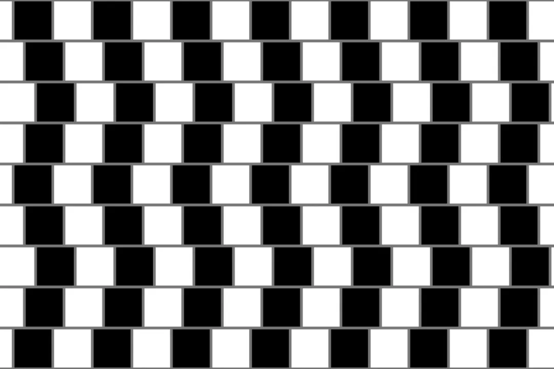 What causes optical illusions?, The System